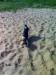 Hra na písku